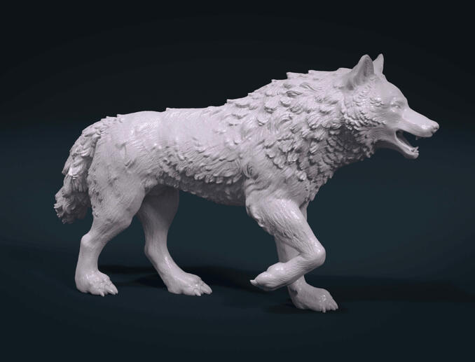 Wolf Wolf