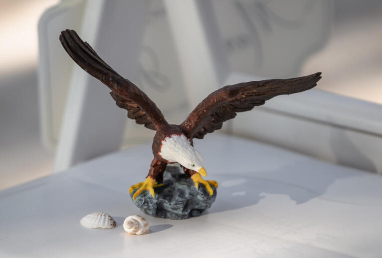 Eagle Eagle